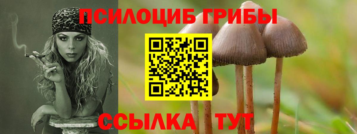 Псилоцибиновые грибы мухоморы  Вход с VPN  Спасск-Дальний 